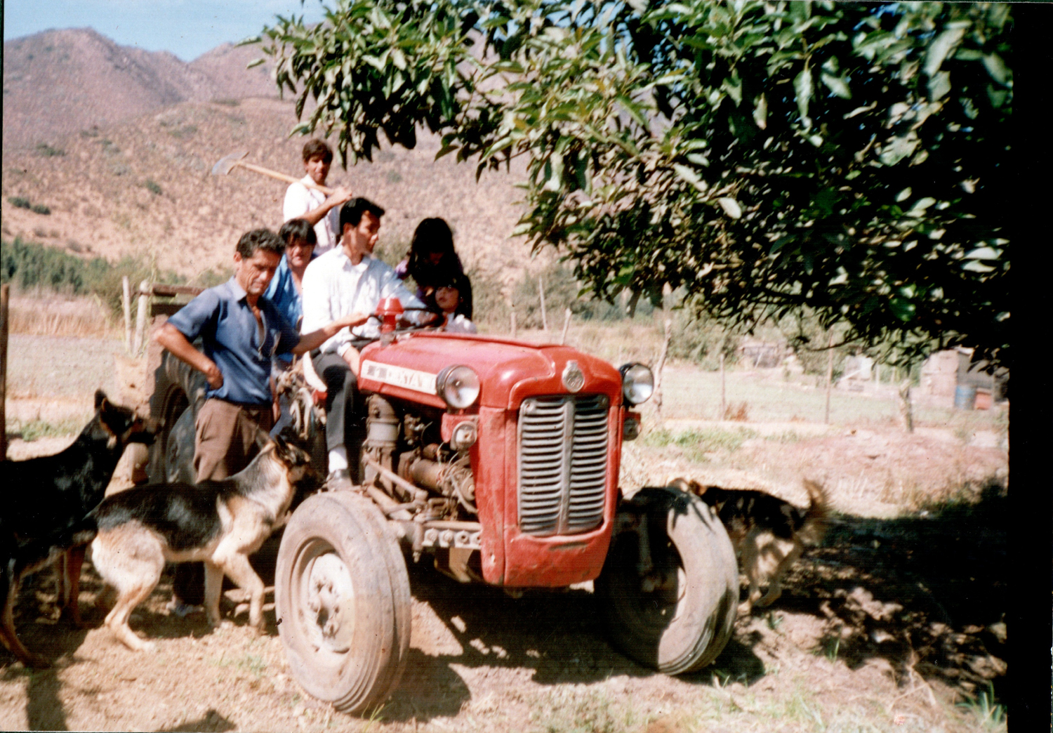 En el tractor En el tractor