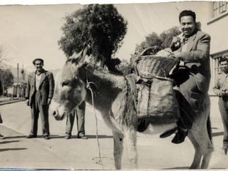 Paseo en burro Paseo en burro