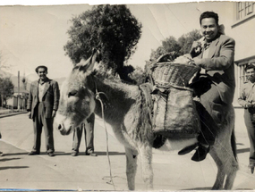 Paseo en burro Paseo en burro