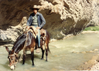 Arriero en la cordillera de Cerrado