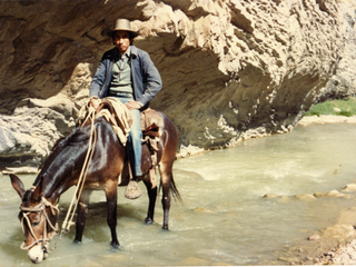 Arriero en la cordillera de Cerrado