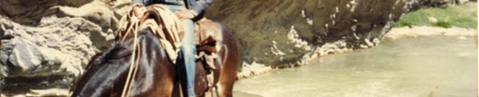 Arriero en la cordillera de Cerrado