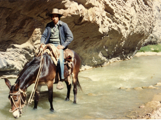 Arriero en la cordillera de Cerrado Arriero en la cordillera de Cerrado