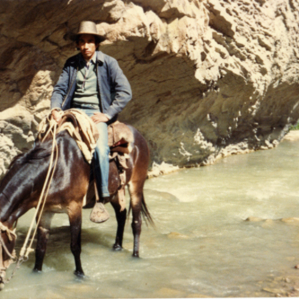 Arriero en la cordillera de Cerrado