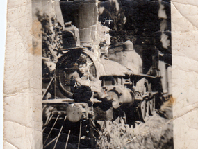 Locomotora Locomotora
