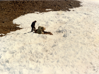 Arriero en la cordillera de los Andes