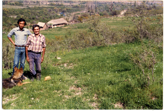 Lugar de pastoreo