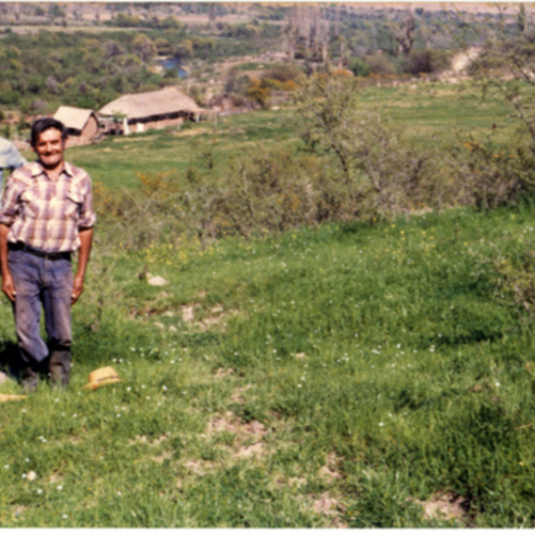 Lugar de pastoreo