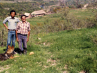 Lugar de pastoreo Lugar de pastoreo