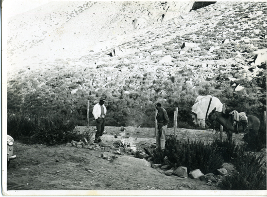 Arrieros de la Hacienda El Tangue