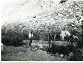 Arrieros de la Hacienda El Tangue