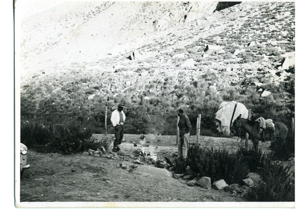 Arrieros de la Hacienda El Tangue