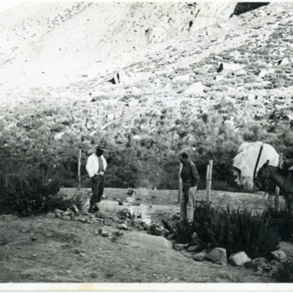 Arrieros de la Hacienda El Tangue