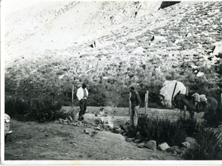 Arrieros de la Hacienda El Tangue