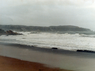 Playa Amarilla Playa Amarilla