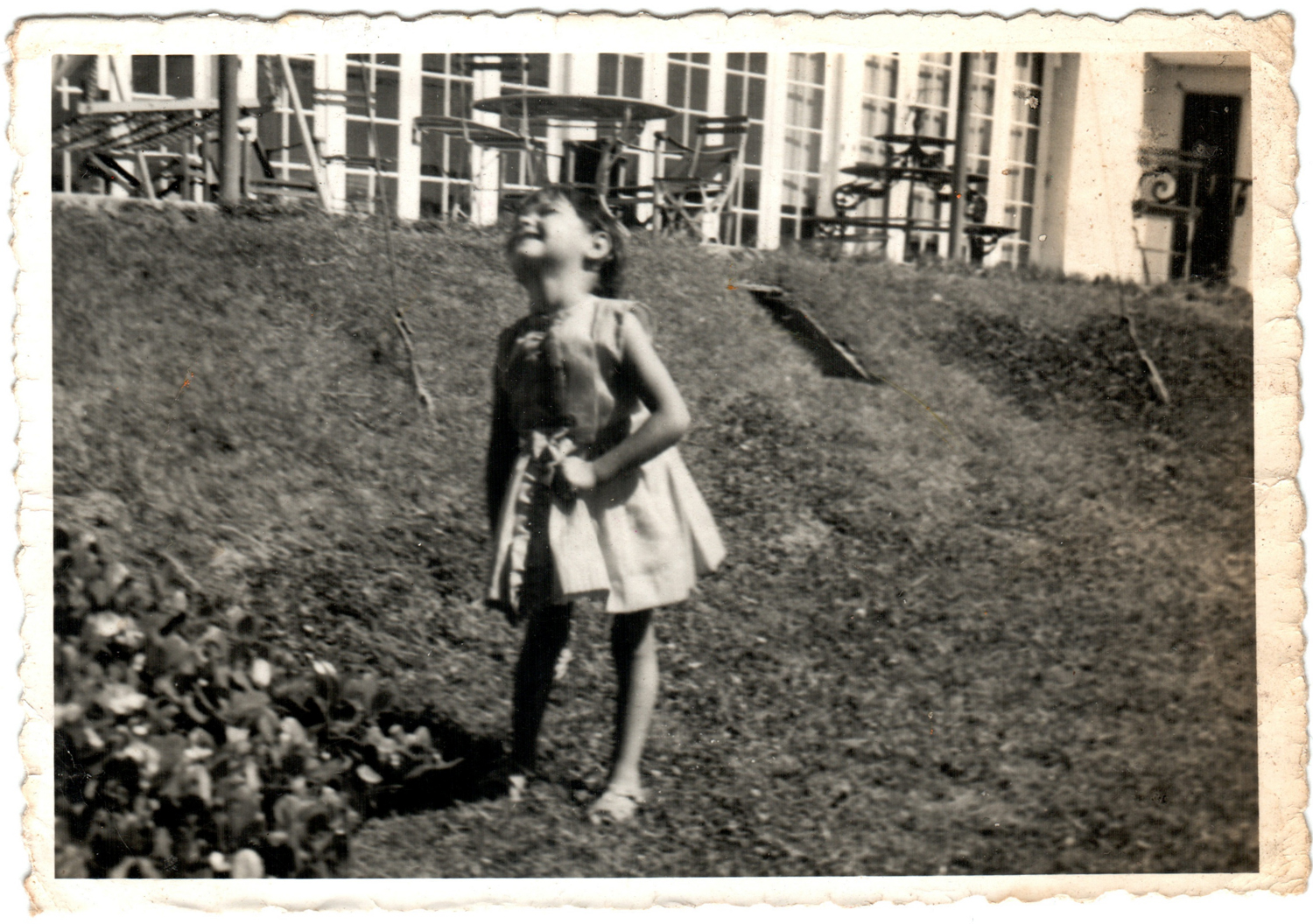 Primavera en casa Eastman Primavera en casa Eastman