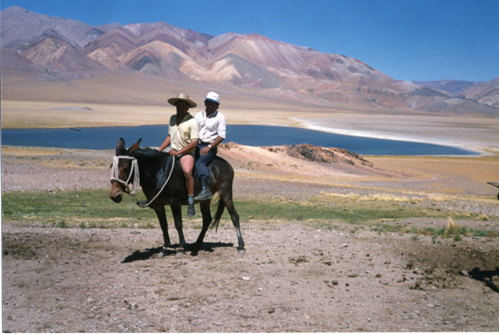 Pastoreo de ganado