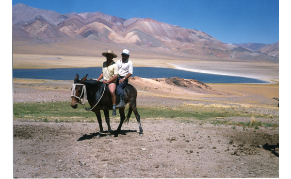 Pastoreo de ganado