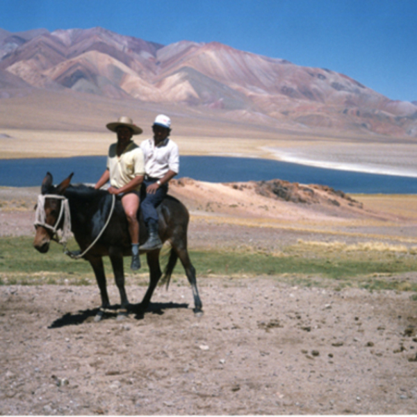 Pastoreo de ganado