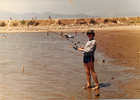 Pescando Pescando