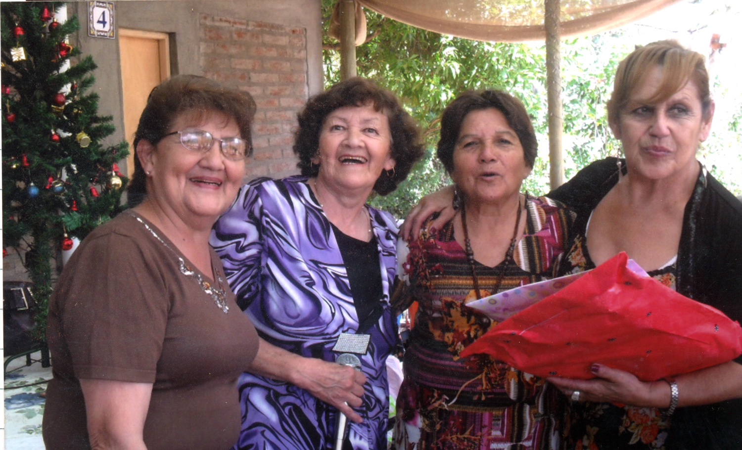 Club de Adulto Mayor Santa Paulina Club de Adulto Mayor Santa Paulina