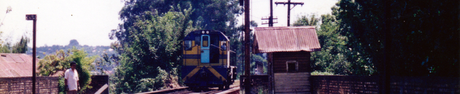 Estación EFE Osorno Estación EFE Osorno