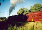 Tren de la poesía