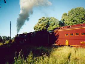 Tren de la poesía