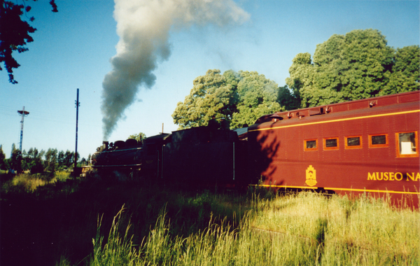 Tren de la poesía
