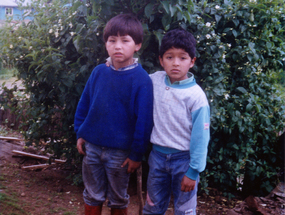 Los amigos