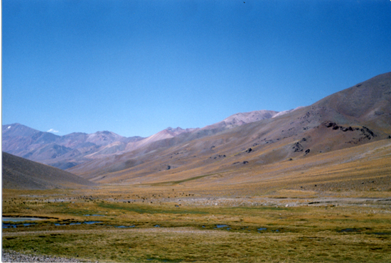 Cordillera de los Andes