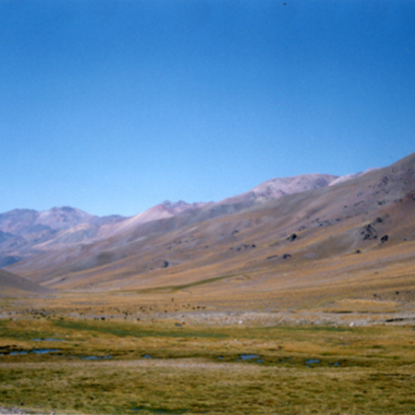 Cordillera de los Andes