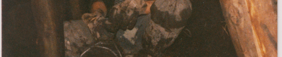Minero Pedro Méndez Minero Pedro Méndez