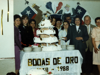Bodas de oro Bodas de oro