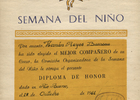 Diploma Diploma