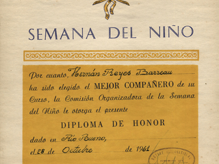 Diploma Diploma