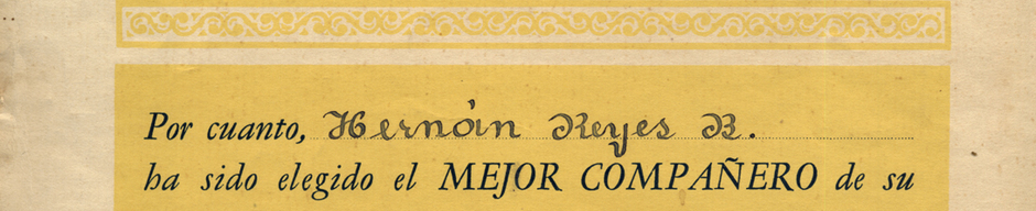 Diploma Diploma