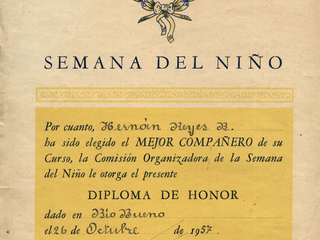 Diploma Diploma