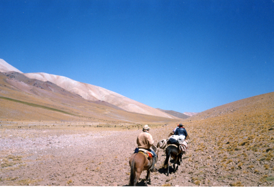 Arrieros en la cordillera de los Andes Arrieros en la cordillera de los Andes