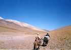 Arrieros en la cordillera de los Andes