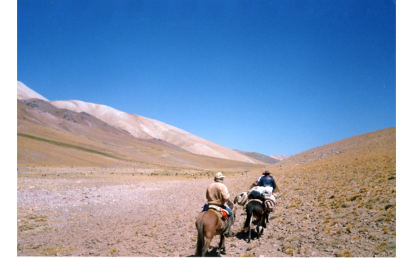 Arrieros en la cordillera de los Andes