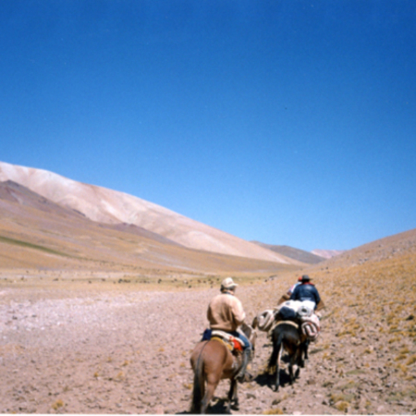 Arrieros en la cordillera de los Andes Arrieros en la cordillera de los Andes