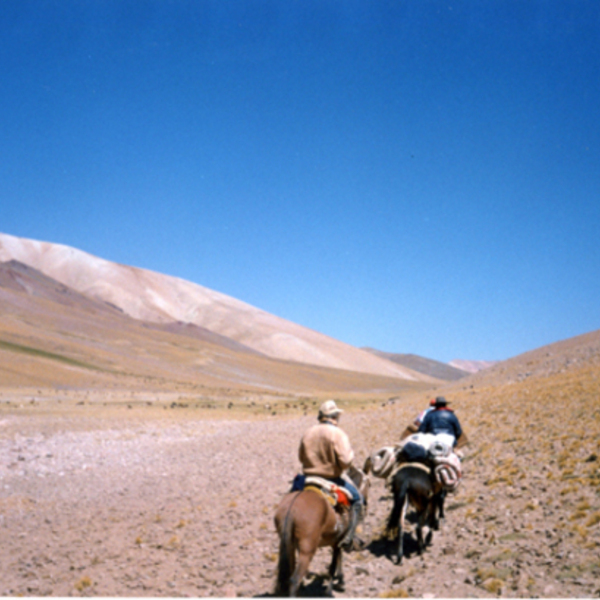 Arrieros en la cordillera de los Andes