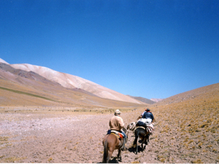 Arrieros en la cordillera de los Andes