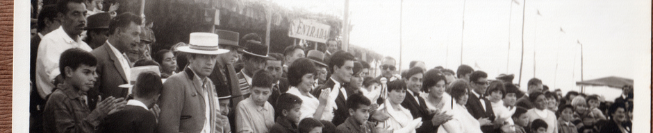 Fiesta de la Vendimia