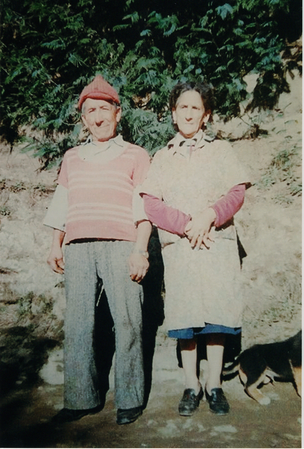 El origen de la familia