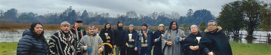 Wetripantu en Humedal Angachilla