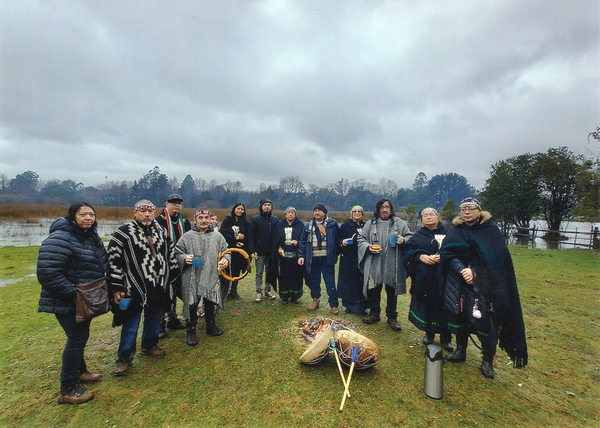 Wetripantu en Humedal Angachilla