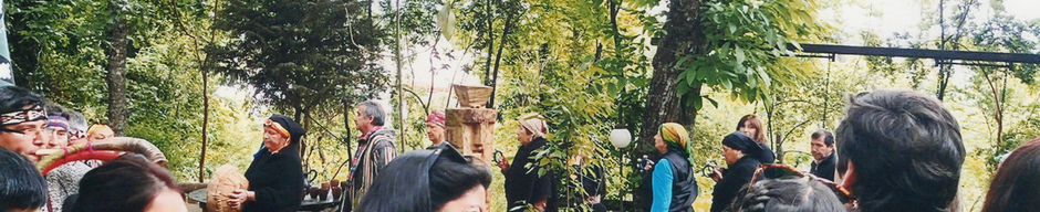 Acompañadas en la investidura