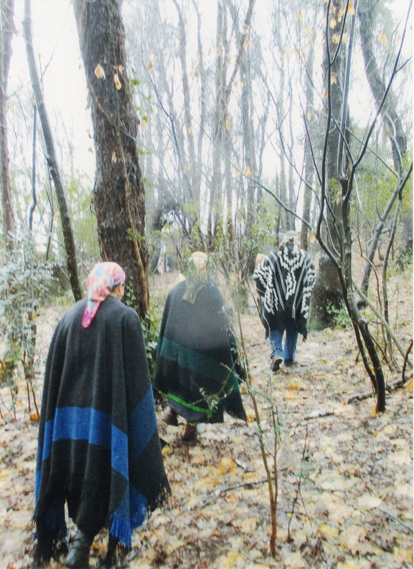 Recorriendo el camino